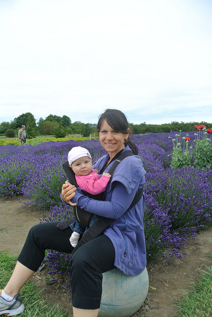 Sequim Lavender Festival