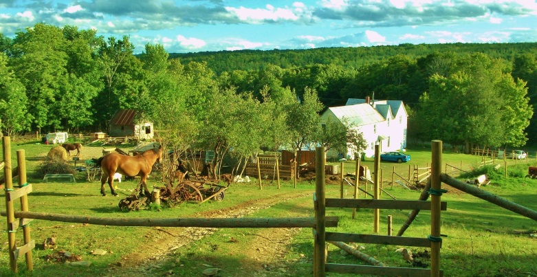 Flying Shoe Farm, Stanley, New Brunswick, Canda